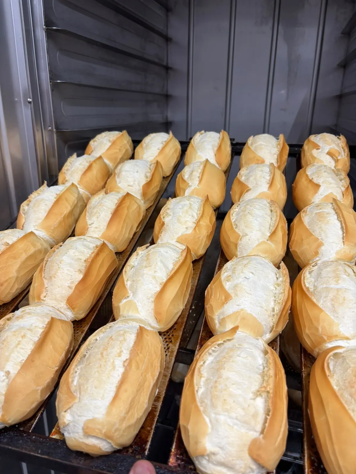 Pães embrulhados em forno industrial