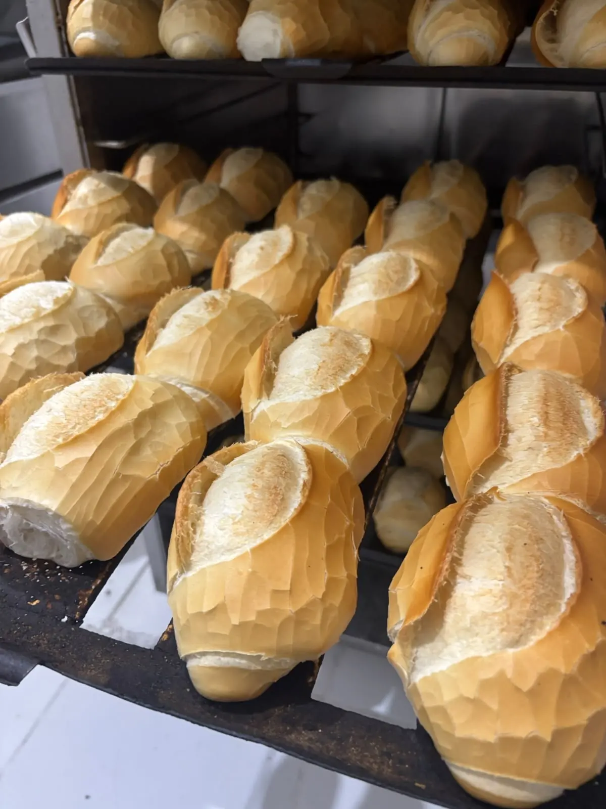 Pães dourados em estantes de forno