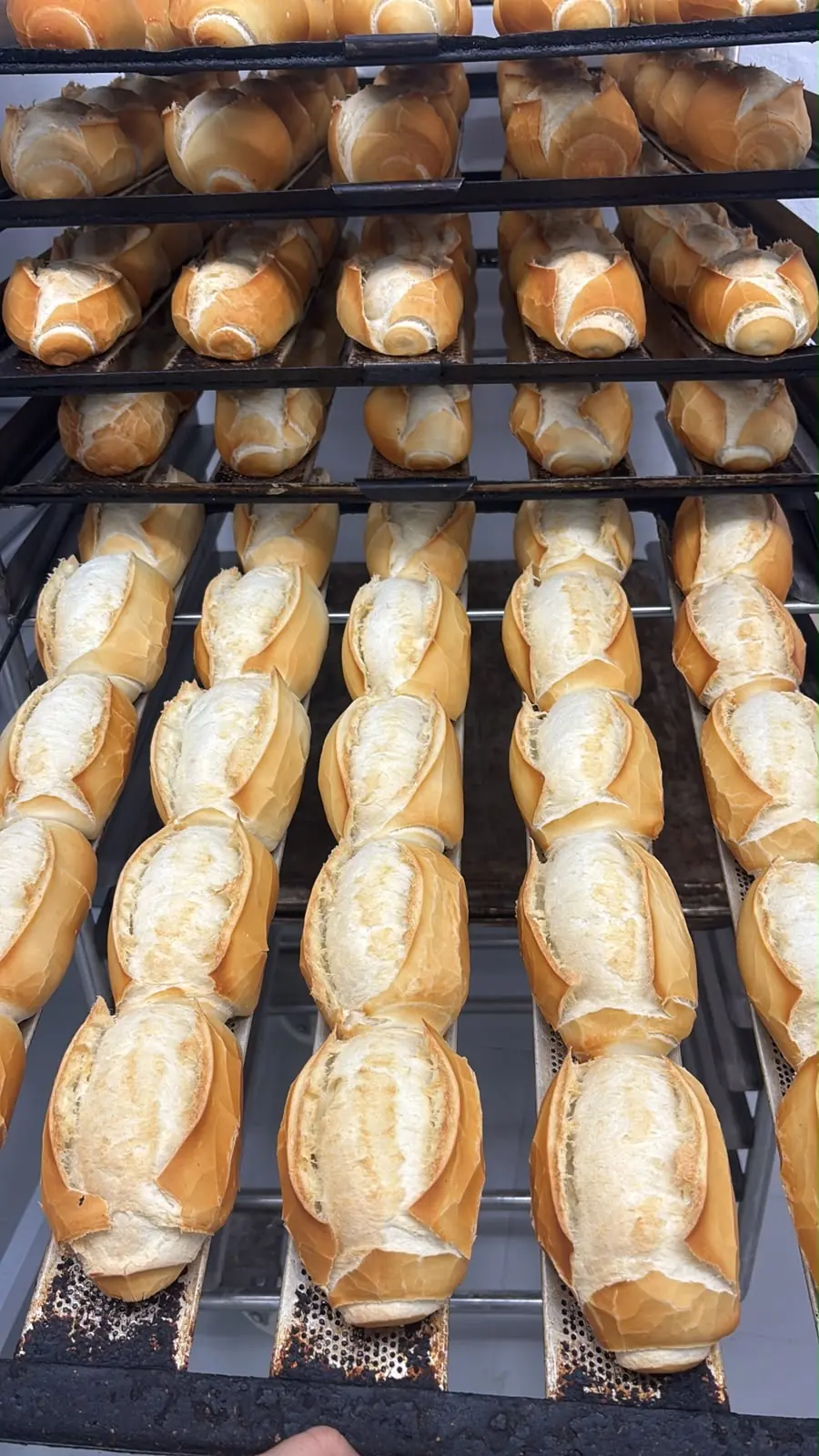 Pães em estantes de forno