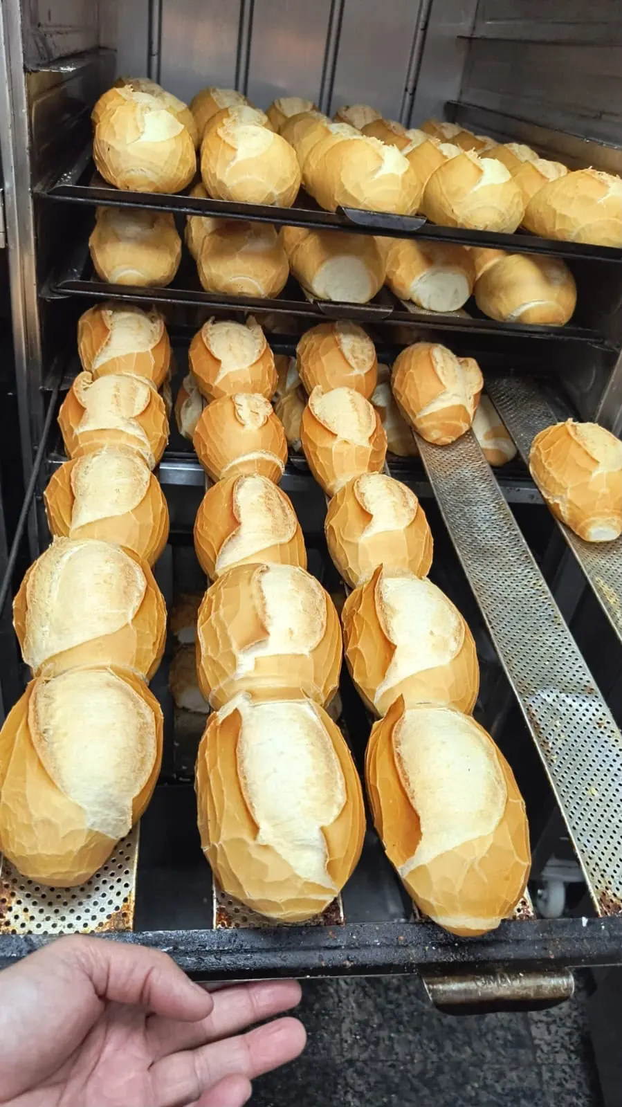 Pães em forno durante o processo de produção